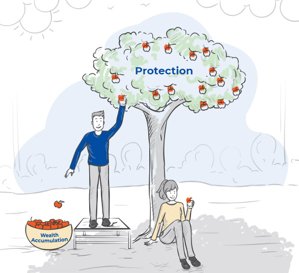 wealth-Protection