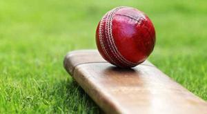 cricket609x334