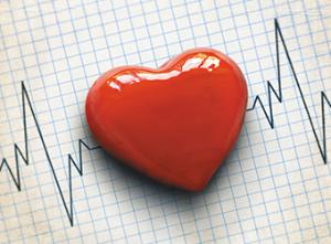 heart340x241