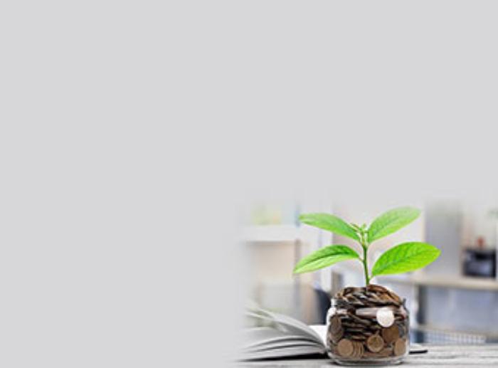 investment340x241+%282%29