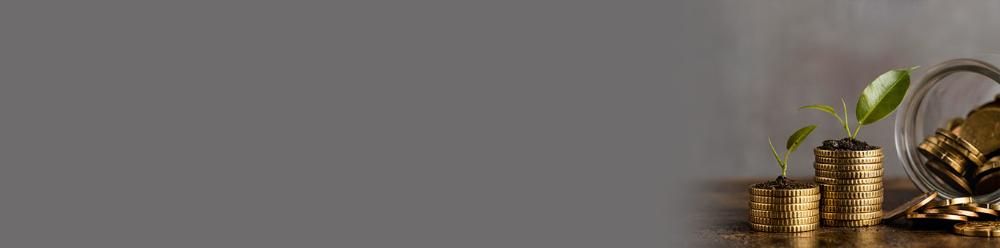 1366x339benefitsofguaranteedincomeplan.jpg