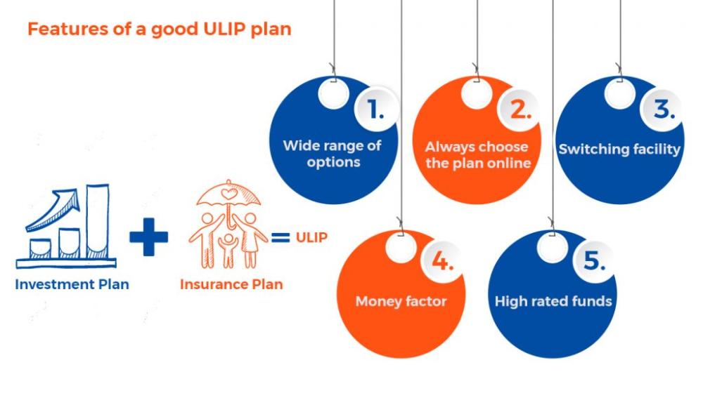 3-steps-to-choose-the-best-ULIP-1024x591.jpg