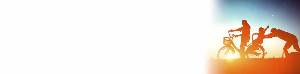 alife_1366x339.jpg