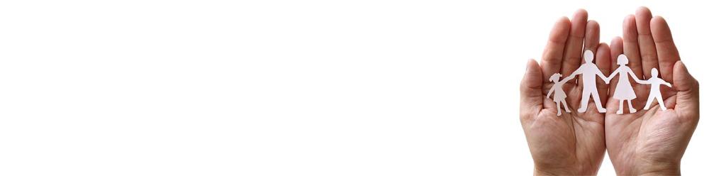 anewfeather1366x339.jpg