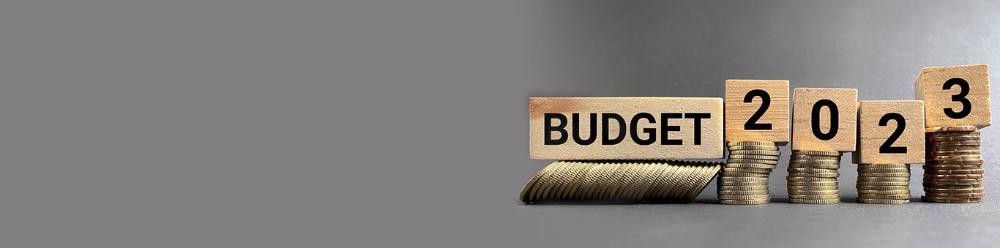 budget1366x339.jpg