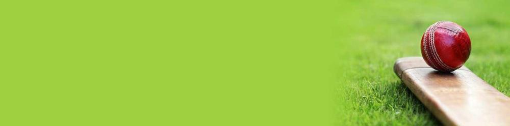 cricket1366x339.jpg