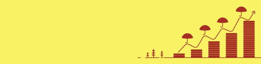 investment1366x339.jpg