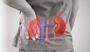 kidenydisease_1366x339 (1).jpg