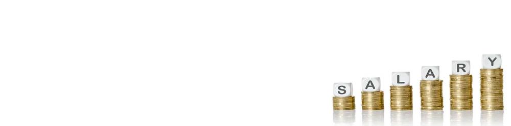 salary1366x339 (2).jpg