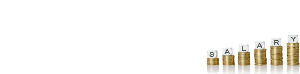 salary1366x339.jpg