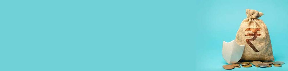 sd1366x339.jpg