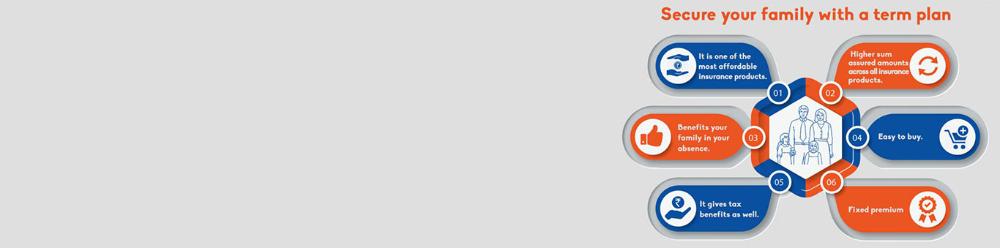 term_1366x339.jpg