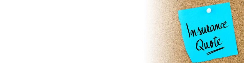terminsurancequote1366x339 (1).jpg