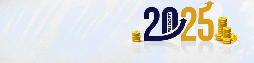 union-budget-2025-large.jpg
